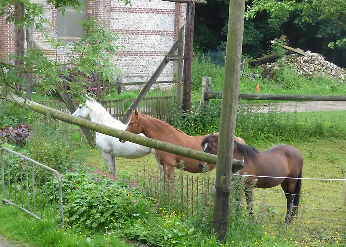 Country house La Ferme Du Manoir Etretat
