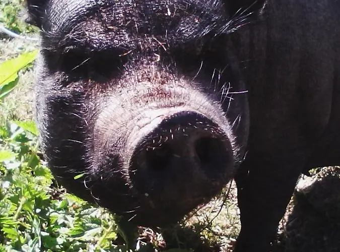 Venkovský dům La Ferme Du Manoir Etretat *